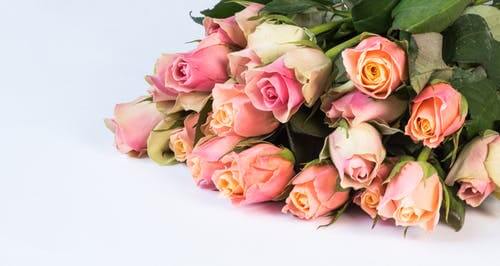 Top 10 Romantic Flowers for Valentine’s Day and their Significance
