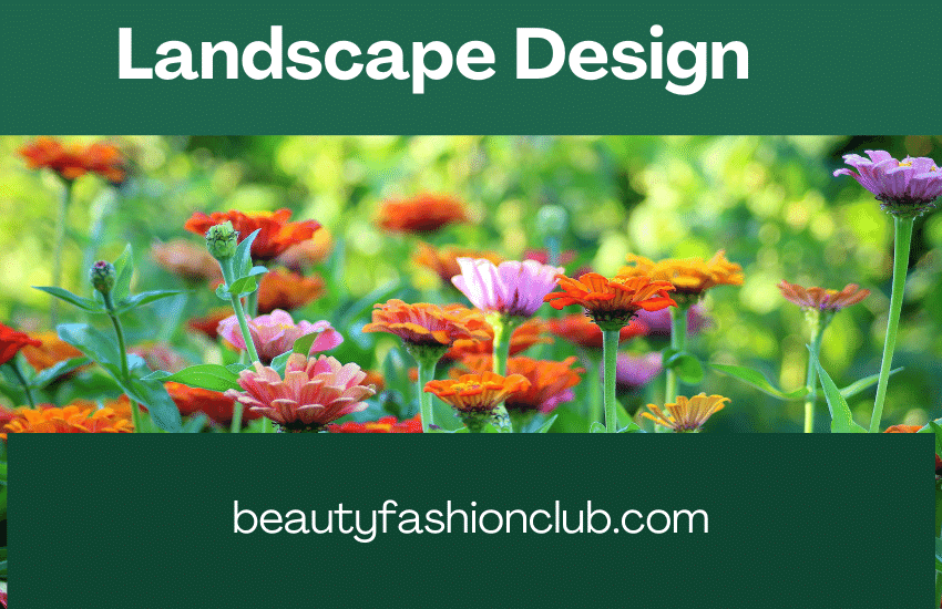 Landscape Design: Ideas and Advice for Beginners